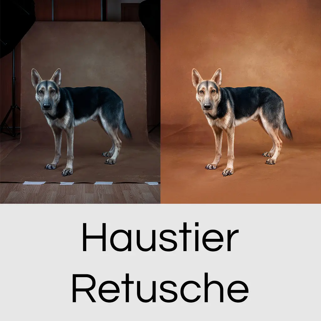 Pet Retouching