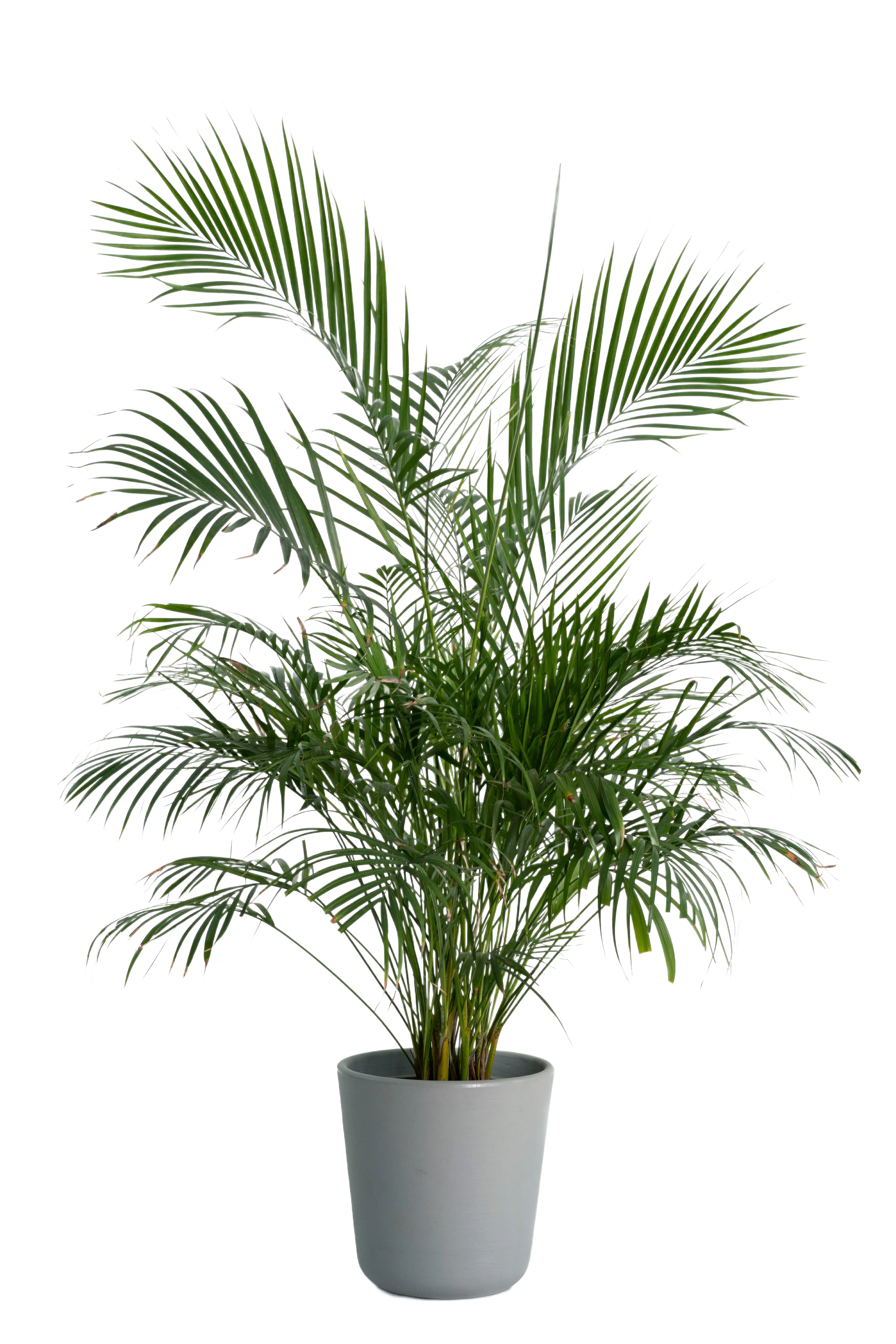 Produkt