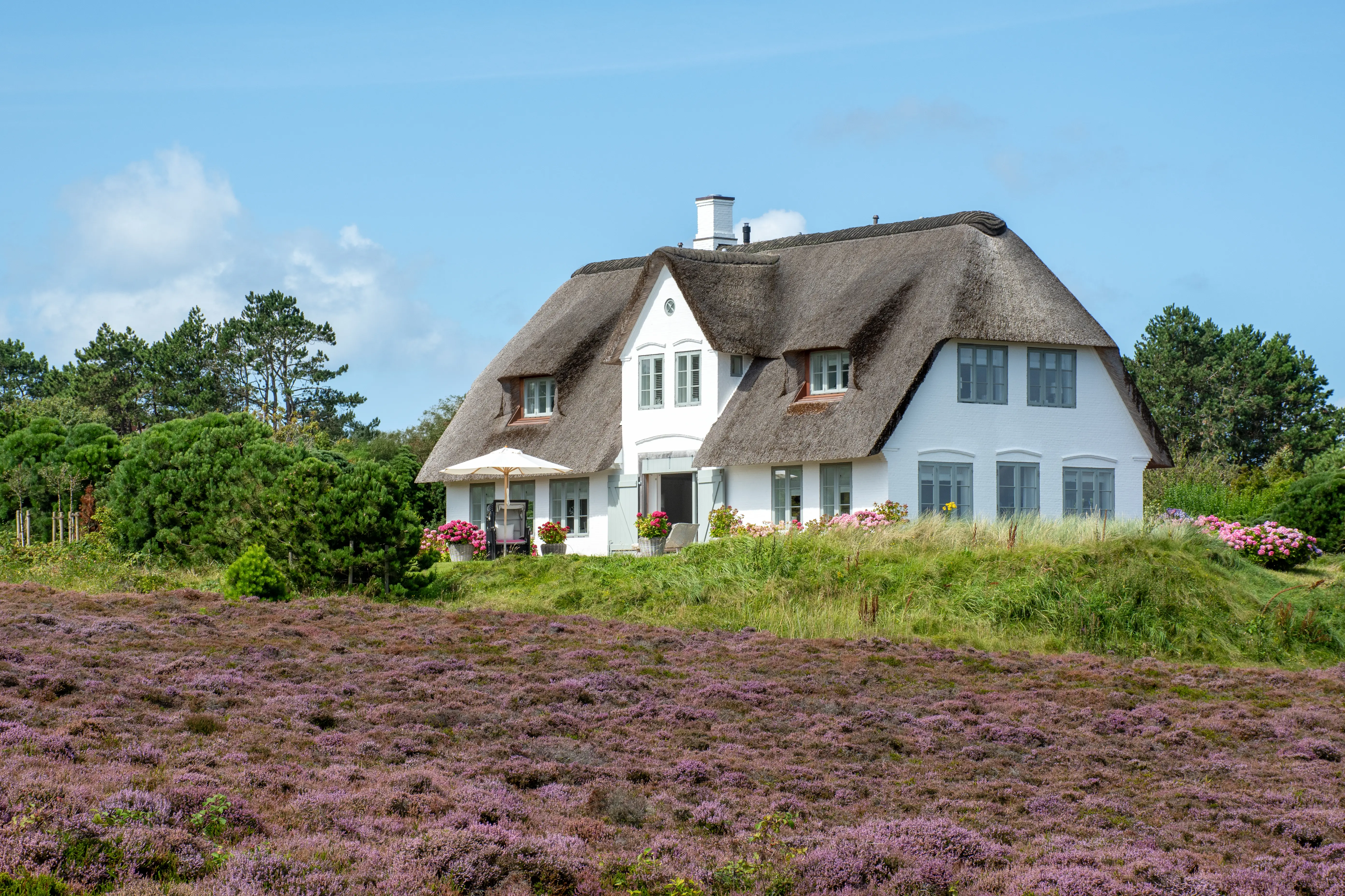 Immobilien
