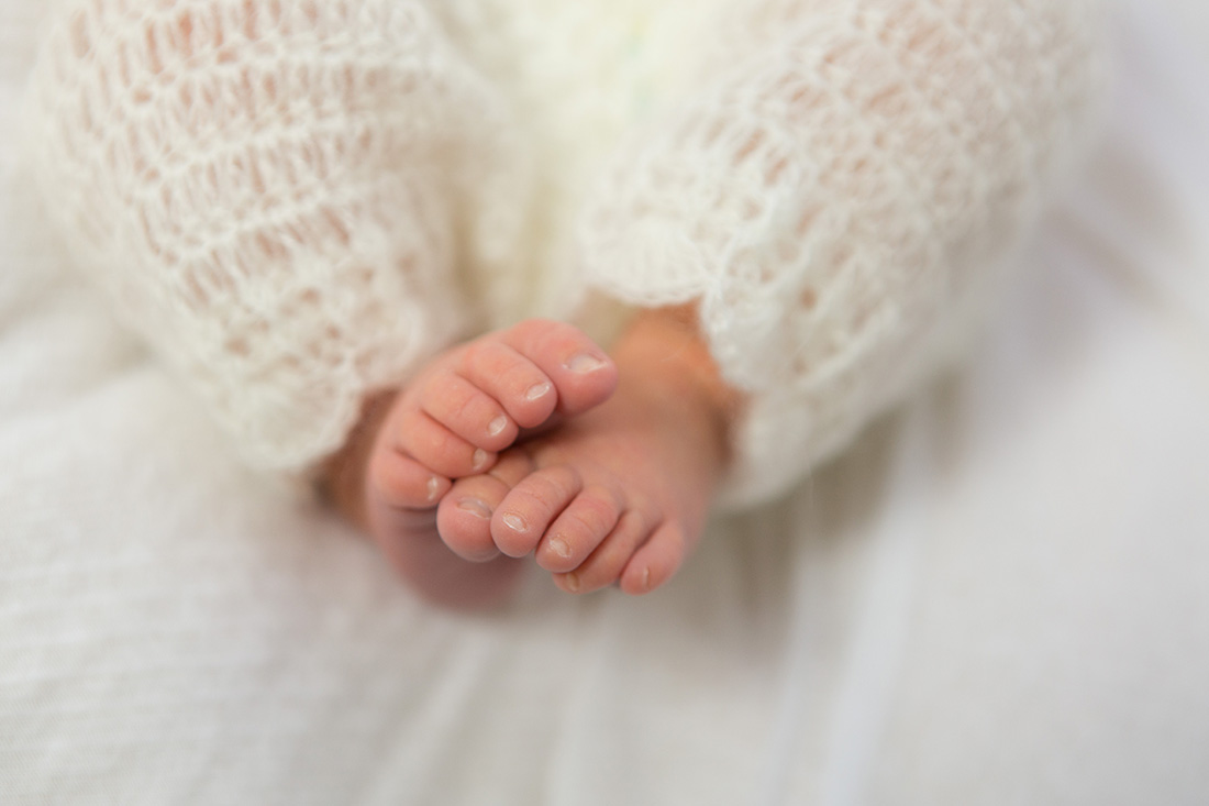 Objektive für Newborn Shootings